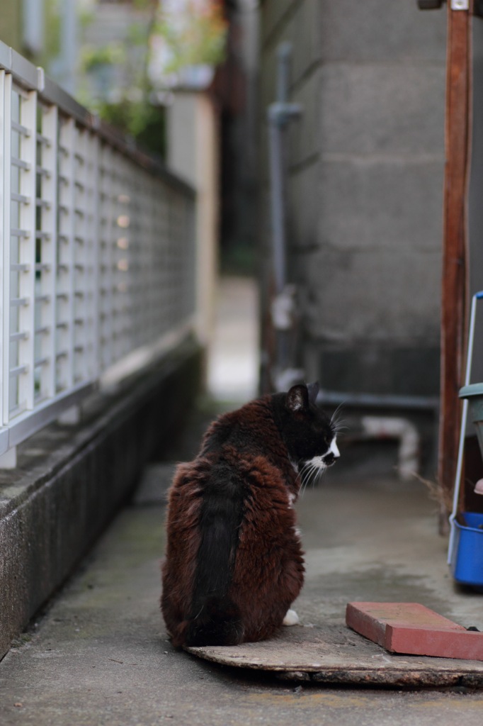 哀愁を漂わせて
