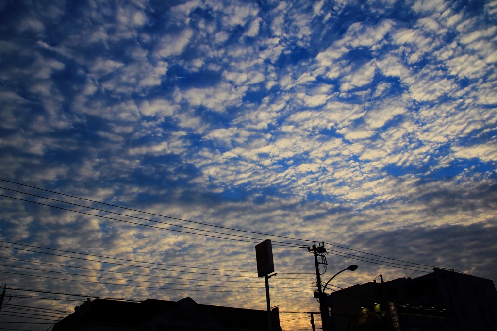 夕暮れ鱗雲に見とれて
