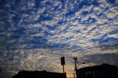 夕暮れ鱗雲に見とれて