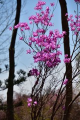 銭渕公園②