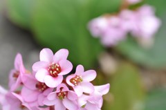 s-DSC_5738