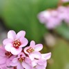 s-DSC_5738
