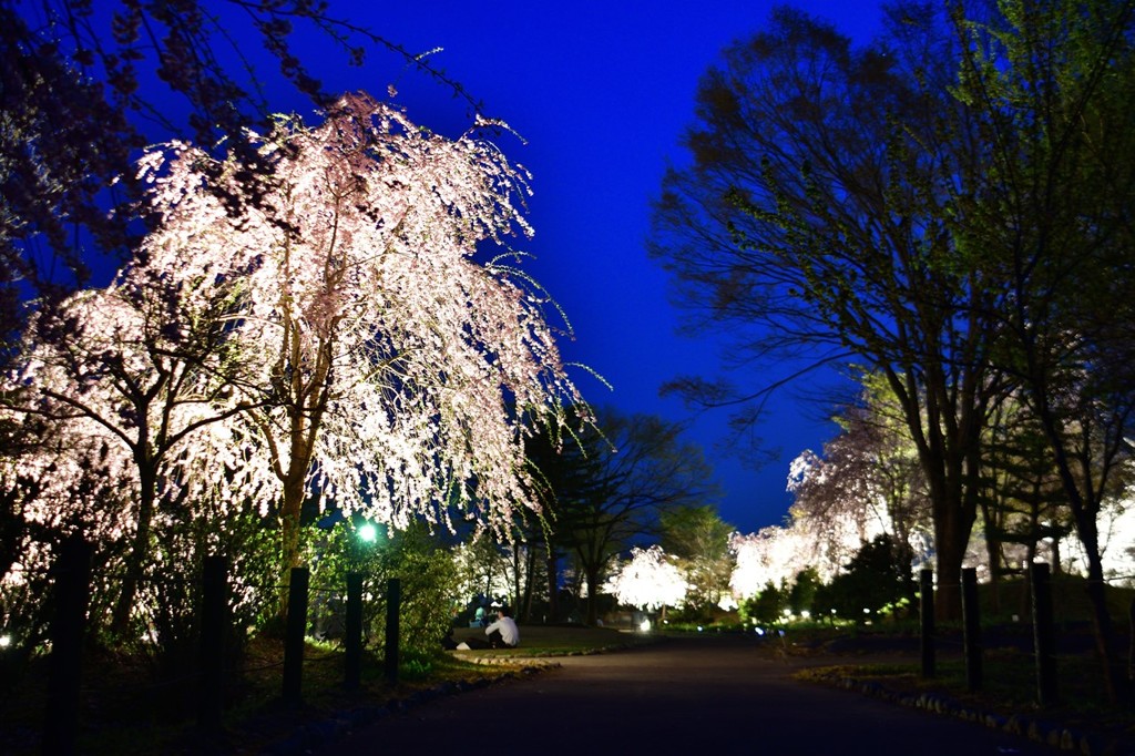 銭渕公園⑥