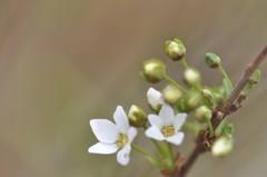 s-DSC_5731