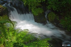 白糸の滝　