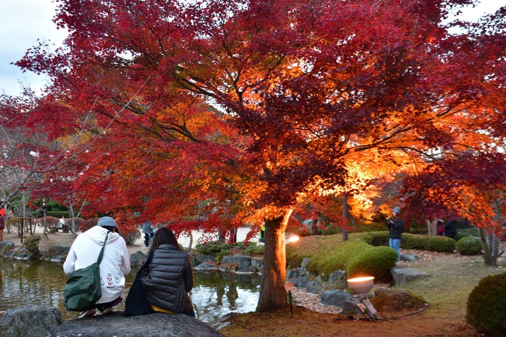 桜山公園　④