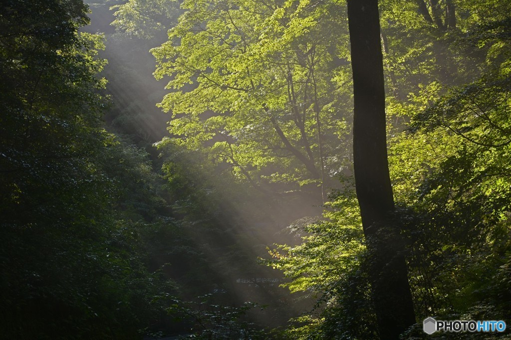 白糸の滝