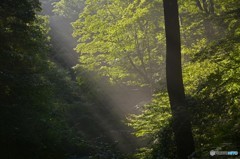 白糸の滝