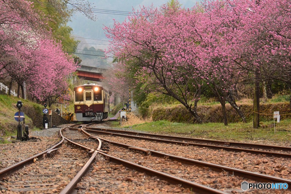 神戸駅Ⅰ