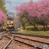 神戸駅Ⅰ