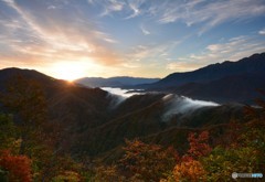 照らし出された紅葉