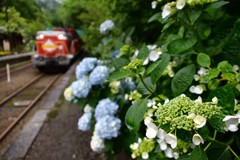 沢入駅②