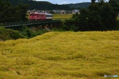 風の足跡