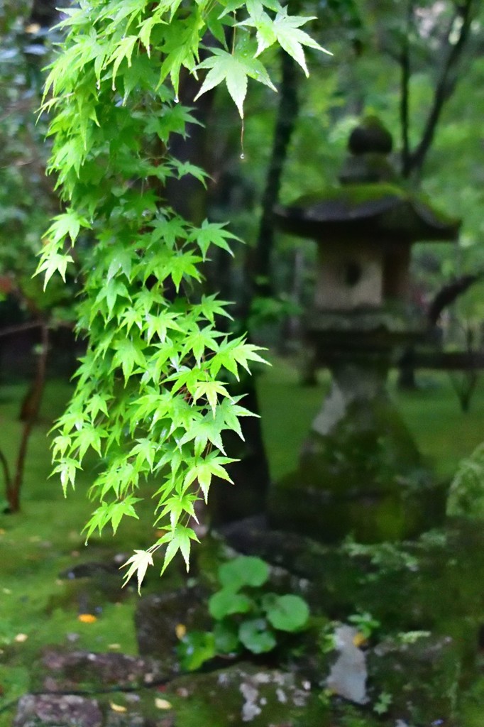 五台山　竹林寺