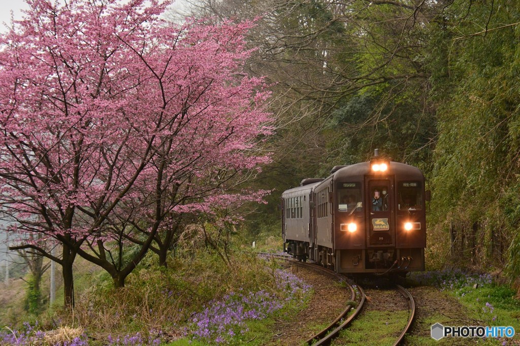 上神梅駅の近く・・・