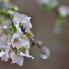 s-DSC_5751