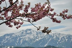 八海山