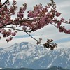 八海山