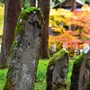 雲洞庵