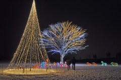 2012　長岡丘陵公園