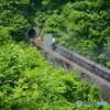 2016 SL只見線新緑号
