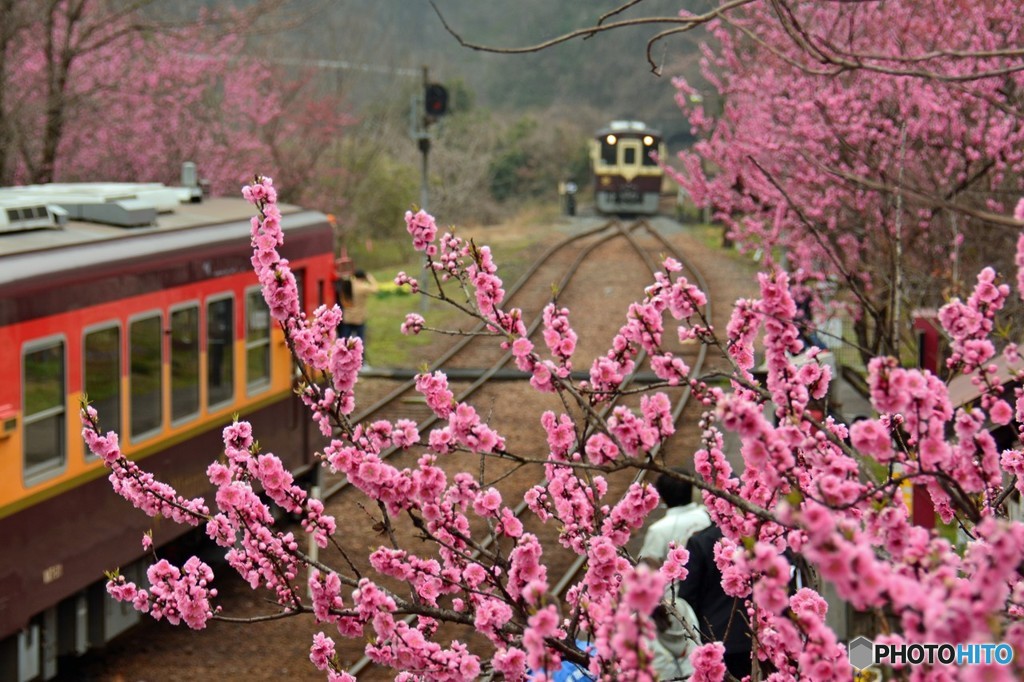 神戸駅Ⅲ