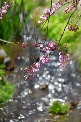 銭渕公園③