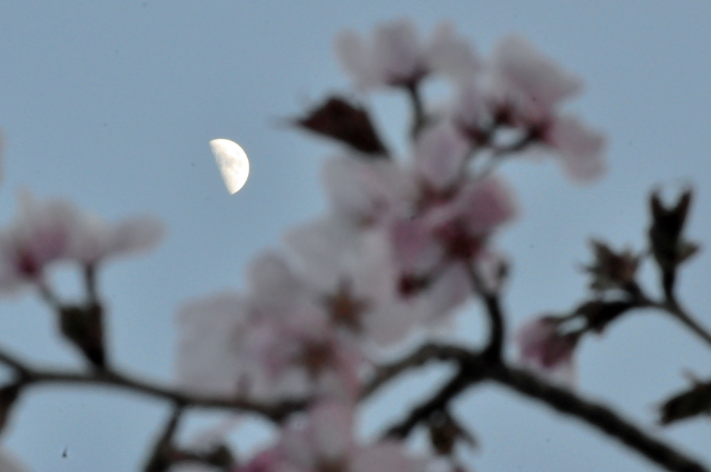 月夜