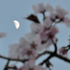 月夜