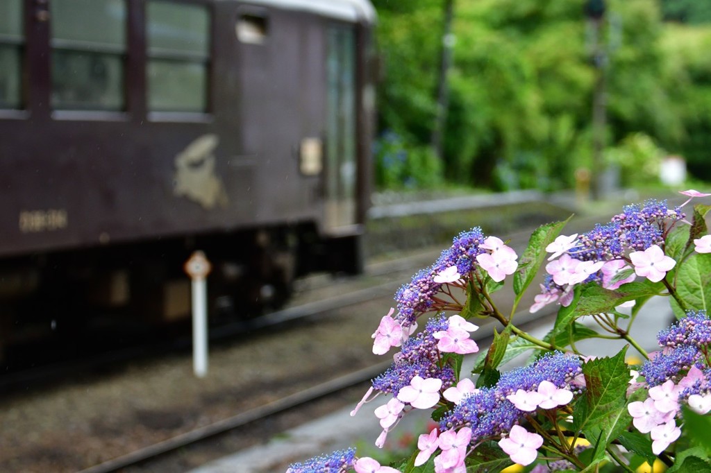 沢入駅①