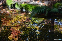 水鏡