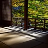 雲洞庵