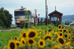 薮神駅②