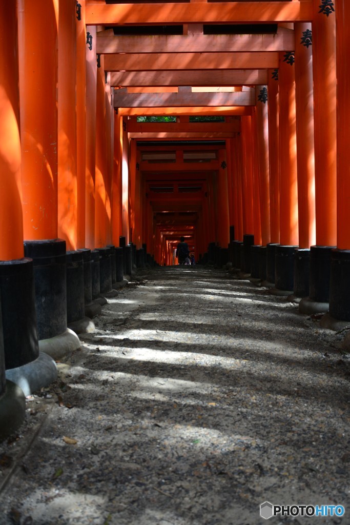 千本鳥居