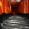 千本鳥居