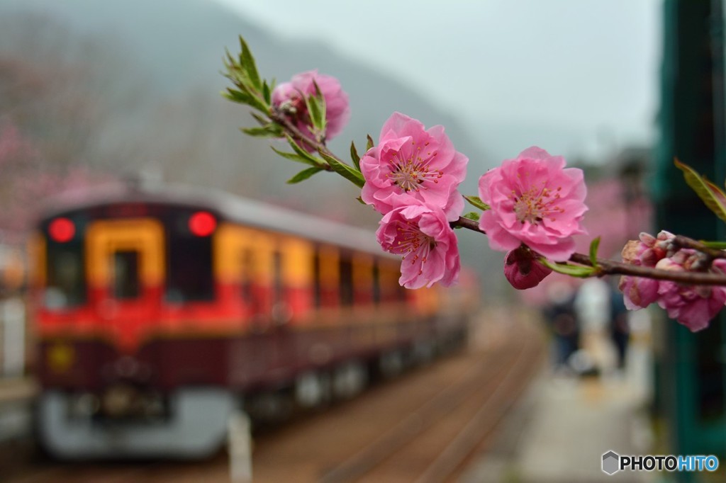 神戸駅Ⅱ