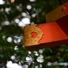 伏見稲荷神社
