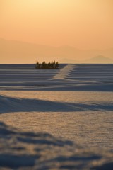 赤く染まる雪原