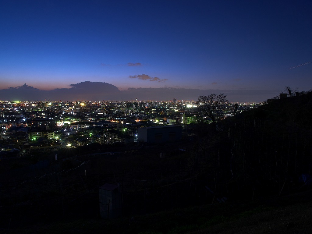 観音寺展望台