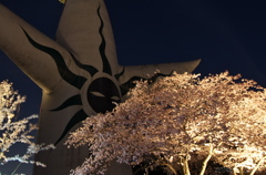 万博公園　お花見ライトアップ