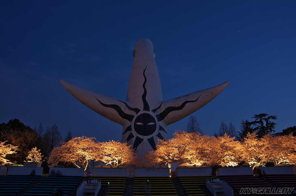 万博公園　お花見ライトアップ