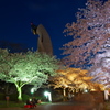 万博公園　お花見ライトアップ