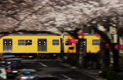 DSC_0946