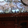 増上寺２０１２