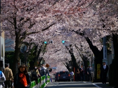 道のりの長い冬だった・・・・