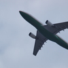 空と飛行機