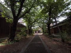 順明寺の道なり