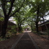 順明寺の道なり