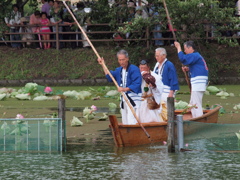 奥田の蓮取り行事4