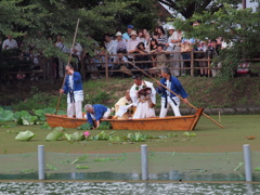 奥田の蓮取り行事3